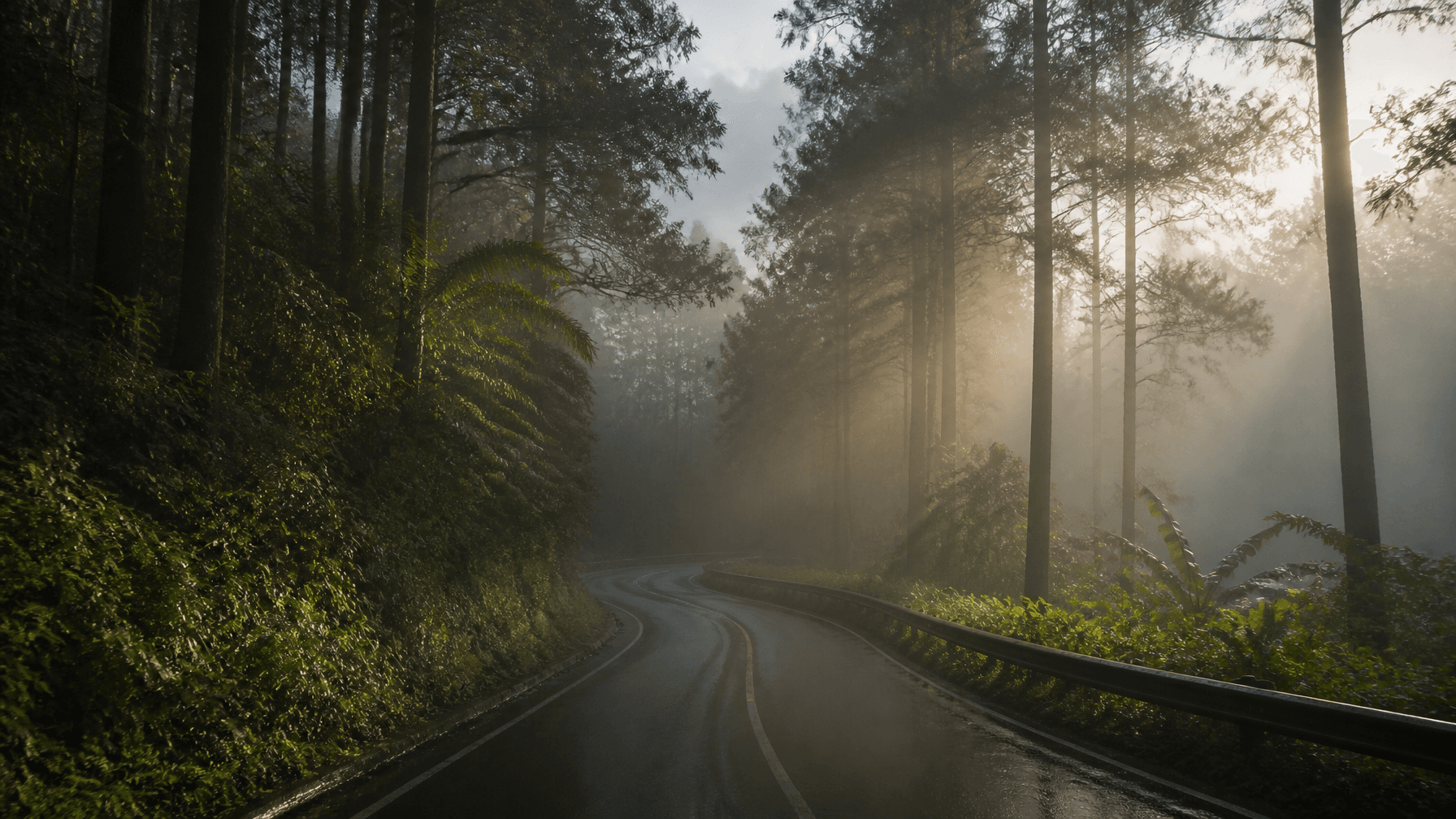 A cinematic wide landscape photography of a winding mountain asphalt road through dense tropical pin